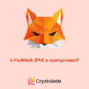 FoxMask (FM)