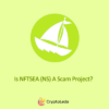 Is NFTSEA (NS) A Scam Project?